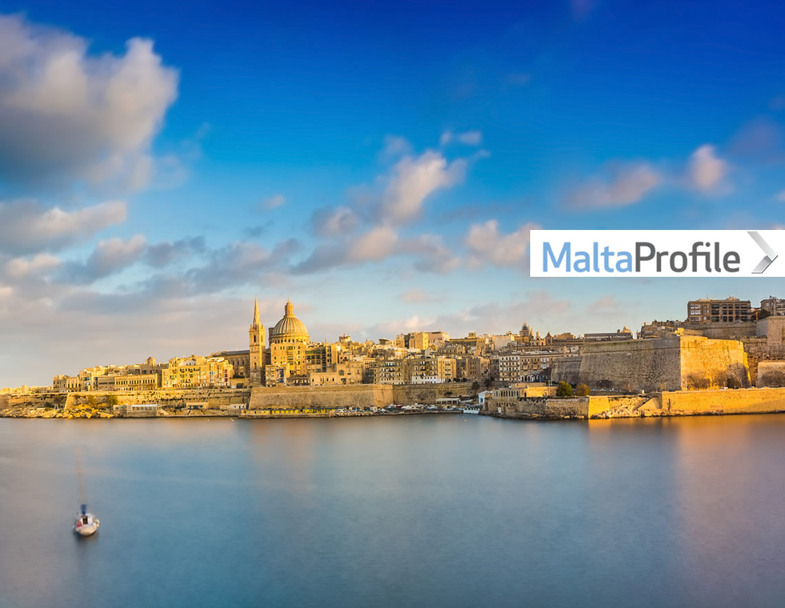 The power of a Website Revamp: MaltaProfile.info