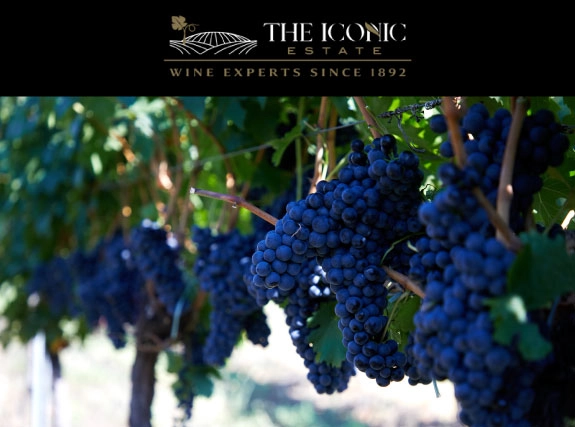 The Iconic Estate Website